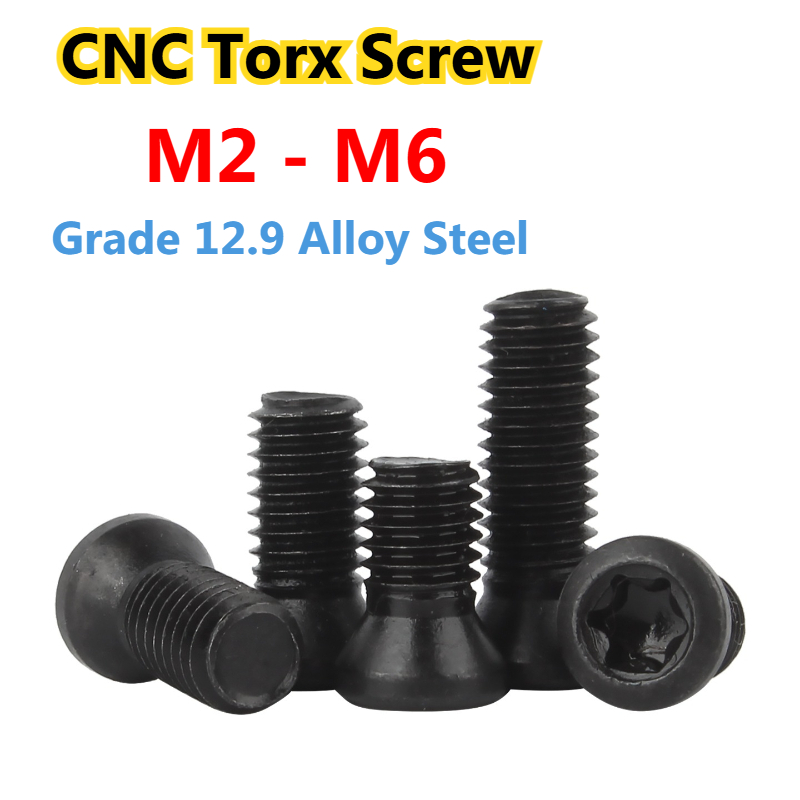 Vite Torx con inserto CNC di g - Cnc Wood Lathe Machine recensione e prezzo