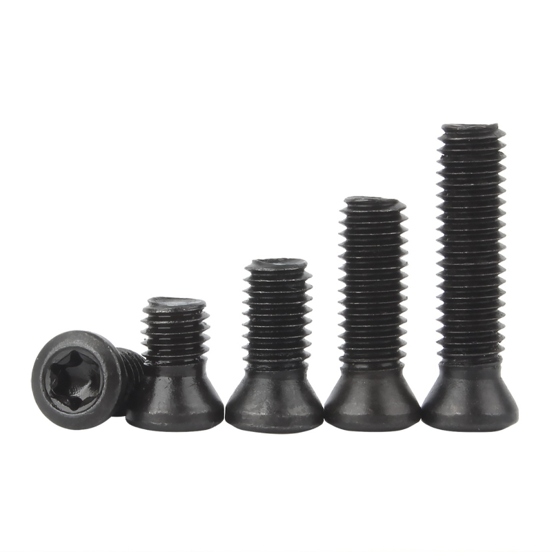 Vite Torx con inserto CNC di g - Cnc Wood Lathe Machine recensione e prezzo